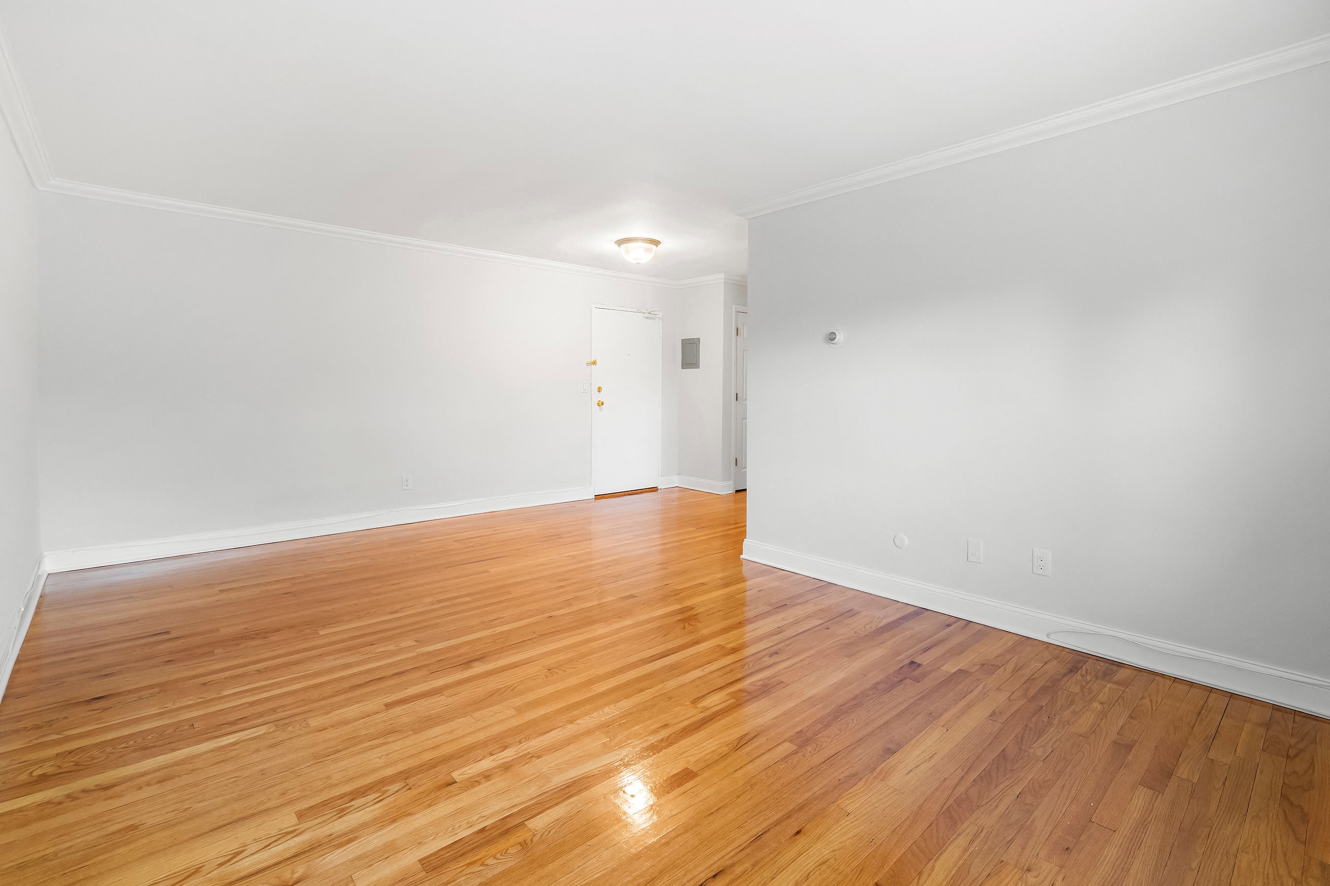 Gallery Photo 5